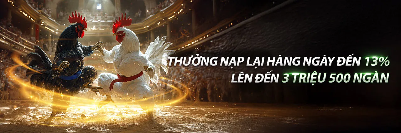 Sân đá gà Thomo trực tiếp đầy kịch tính
